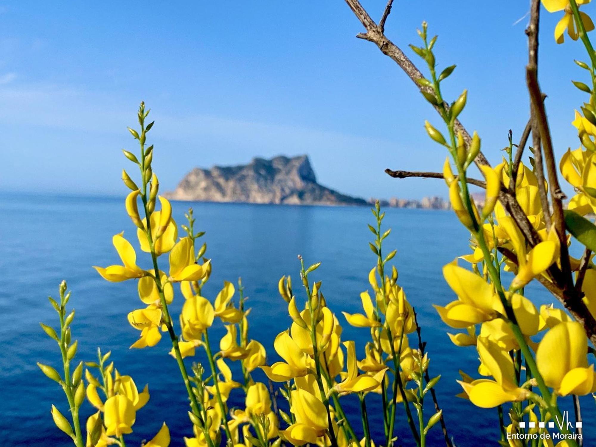 Vh Costablanca - Apartamento Riviera โมไรรา ภายนอก รูปภาพ